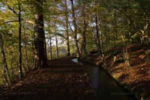 Am Bach entlang