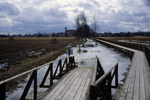 Federsee Bad Buchau