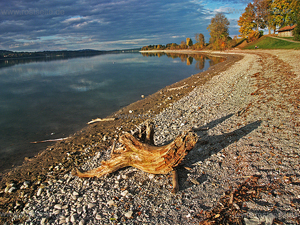 Forggensee Schwemmgut