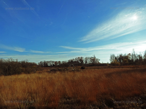 Moorlandschaft