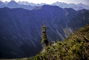 Nebelhorn Wanderung