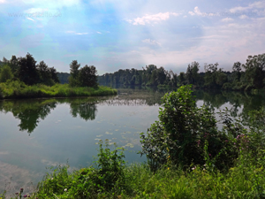 Unterfahlheimer See