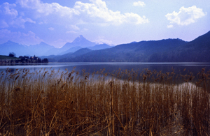 Weissensee