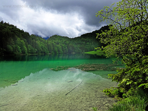 Alläu Alatsee