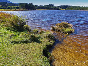 Alläu Attlesee