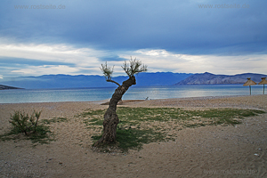 Baska Impression