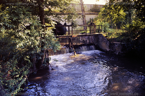 Wehr Biber