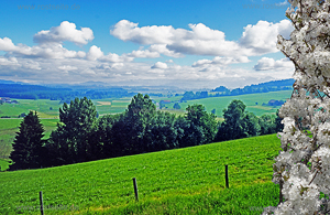 Blick Isny Isnyberg
