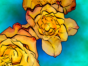 Blüten