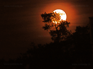 Erdbeermond