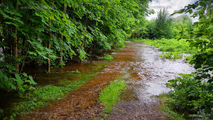 Hochwasser an der Roth