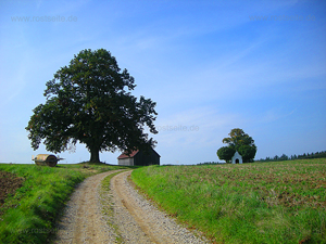 Marienfried Wegkapelle Beuren