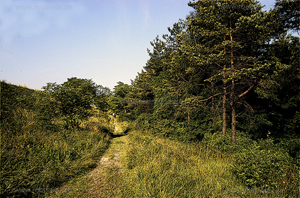 Spaziergang 1