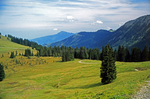 Allg&auml;u Impression 05