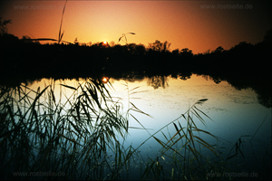 Baggersee Leipheim
