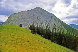 Entschenkopf