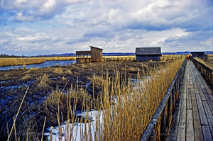 Federsee Impression 2