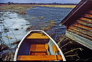 Federsee Impression 3