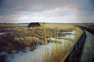 Federsee Impression 3