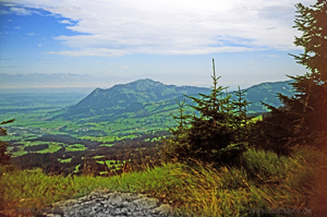 Gr&uuml;ntenblick
