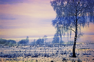 hgo_0085